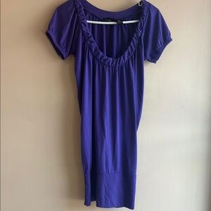 Chesley Blue Ruffled Tunic Dress